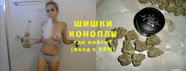 молекула духа Костерёво