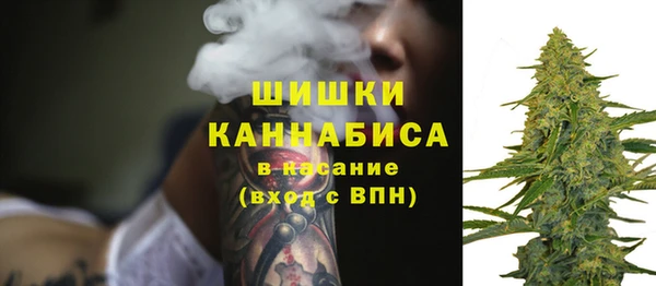 молекула духа Костерёво