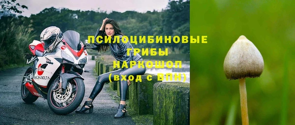 молекула духа Костерёво