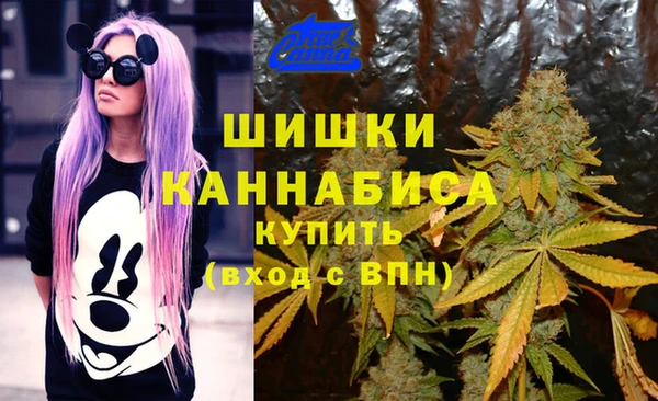 молекула духа Костерёво