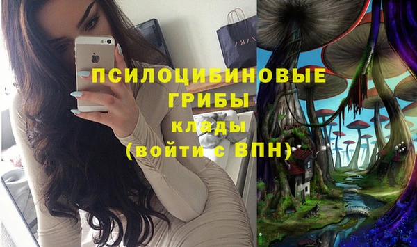 молекула духа Костерёво